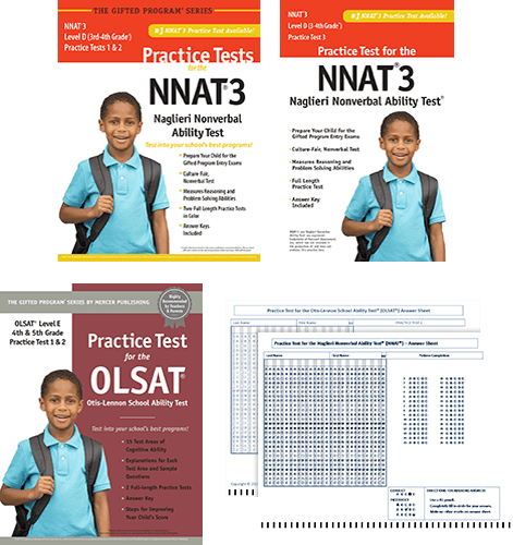 NY Grade 4 Total Study Package
